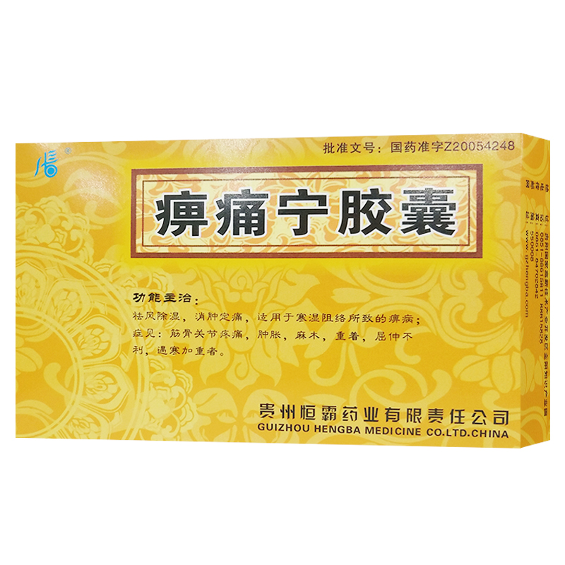 恒霸 痹痛宁胶囊